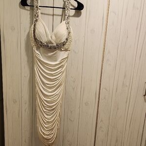 Cache Cream and Silver Backless Dress